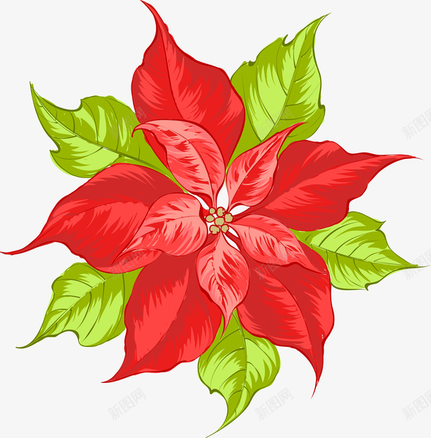 手绘水彩红色花卉png免抠素材_88icon https://88icon.com 唯美 手绘 水彩 漂亮 花卉 花朵 装饰
