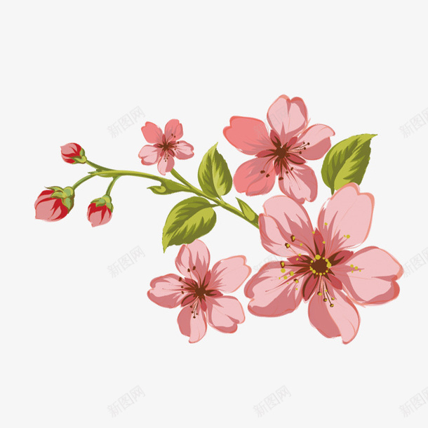 手绘漂亮的花png免抠素材_88icon https://88icon.com 叶子 手绘画 植物 矢量装饰 花朵 装饰