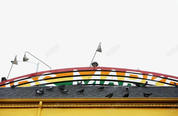 地面上的鸽子png免抠素材_88icon https://88icon.com 动物素材 地面 背景装饰 鸽子