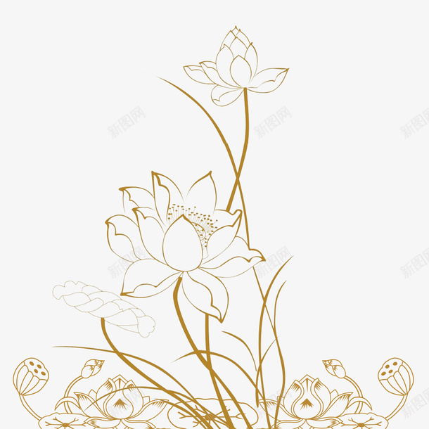 荷花莲藕透明荷花png免抠素材_88icon https://88icon.com 花瓣 荷花 莲子 莲藕