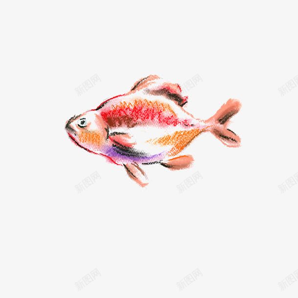 彩绘鱼矢量图ai免抠素材_88icon https://88icon.com 彩绘钓鱼插画 手绘鱼 红色 钓鱼 鱼 矢量图