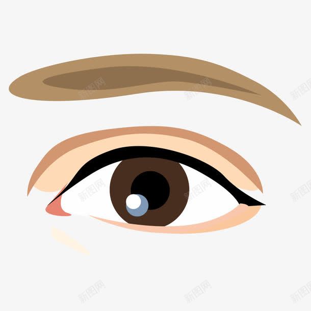 眉毛大额多少png免抠素材_88icon https://88icon.com 一字眉 一线眉 眉毛 眼眉 眼线 美眉舒服