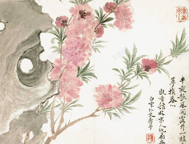 国画桃花png免抠素材_88icon https://88icon.com 中国画 古画 国画桃花 奇石 恽寿平 桃花 清 甌香館寫生冊