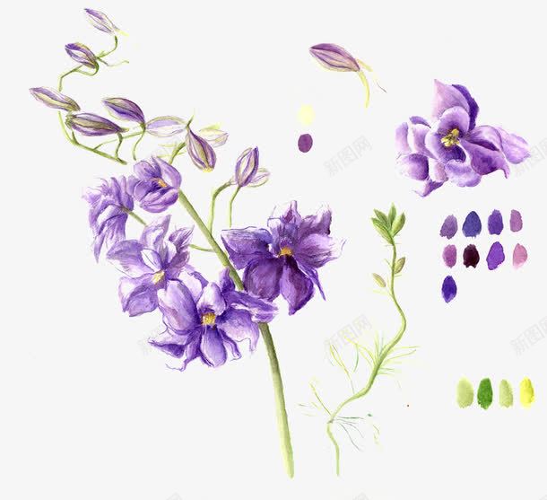 彩绘紫色花卉图案png免抠素材_88icon https://88icon.com 彩绘紫色花卉 紫以花 花朵图案