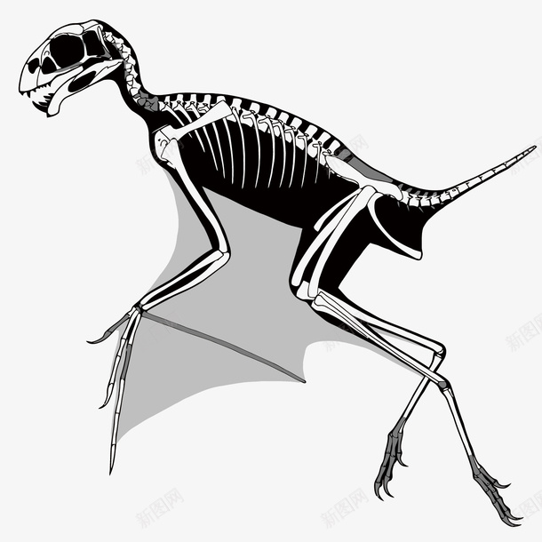翼龙骨架矢量图eps免抠素材_88icon https://88icon.com PNG图片 PNG图片素材 PNG素材 PNG素材免费下载 侏罗纪 翼龙 骨架 矢量图