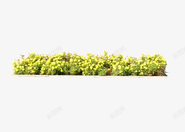 绿化植被png免抠素材_88icon https://88icon.com 绿化植被 绿化植被模板下载