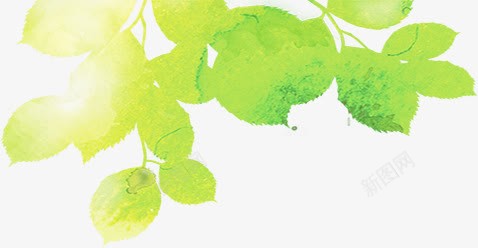 手绘清新春日树叶美景png免抠素材_88icon https://88icon.com 春日 树叶 清新 美景