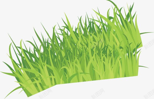 手绘青草图案png免抠素材_88icon https://88icon.com 图案 手绘 青草