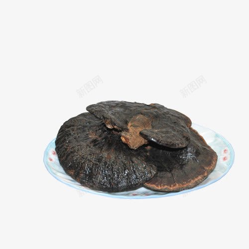 灵芝png免抠素材_88icon https://88icon.com 养身 灵芝 补品