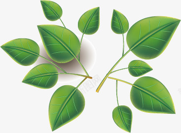 树叶叶子绿色淘宝矢量图ai免抠素材_88icon https://88icon.com 树叶叶子绿色淘宝素材 矢量图