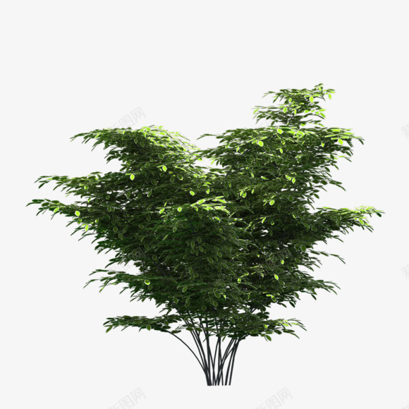 一颗绿树png免抠素材_88icon https://88icon.com 树 植物 绿色