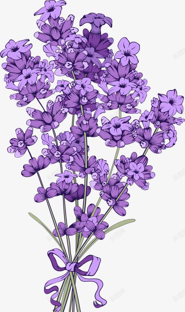 紫色花束png免抠素材_88icon https://88icon.com 紫色 美丽 装饰 鲜花