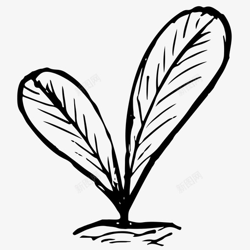 植物自然素描图标svg_88icon https://88icon.com 手绘 植物 素描 自然 萌芽