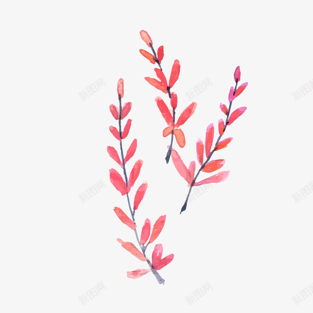 手绘水彩绘画叶子png免抠素材_88icon https://88icon.com 叶子 手绘 水彩 绘画