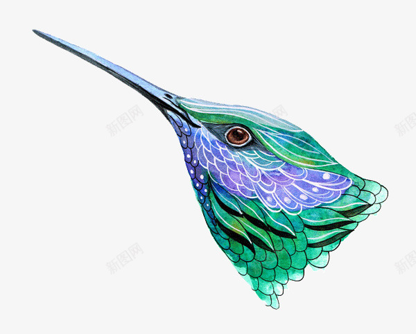 创意彩色鸟插画png免抠素材_88icon https://88icon.com 创意 彩绘 彩色 手绘 插画 设计 鸟