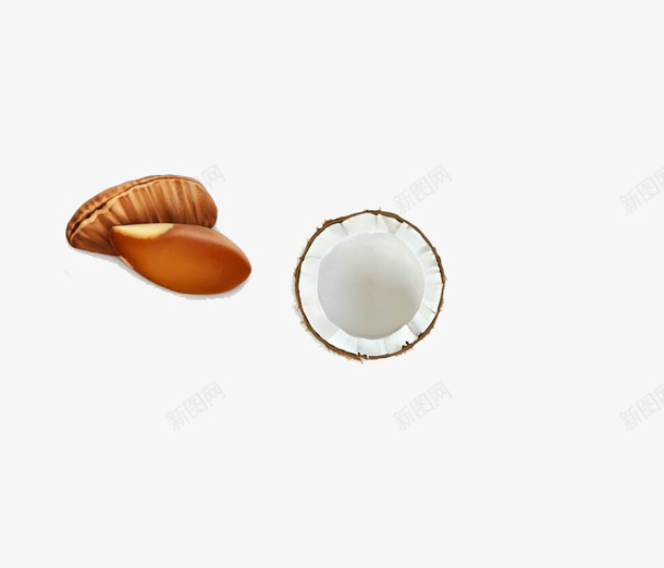 杏仁和椰子壳psd免抠素材_88icon https://88icon.com 好吃 水果 甜的 解渴
