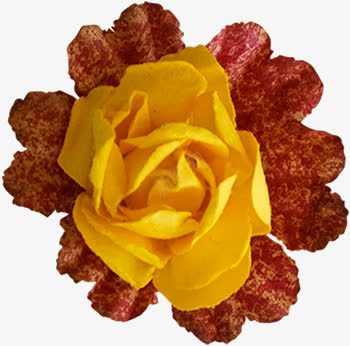 枯花装饰png免抠素材_88icon https://88icon.com 假花 花卉 花朵 萎花