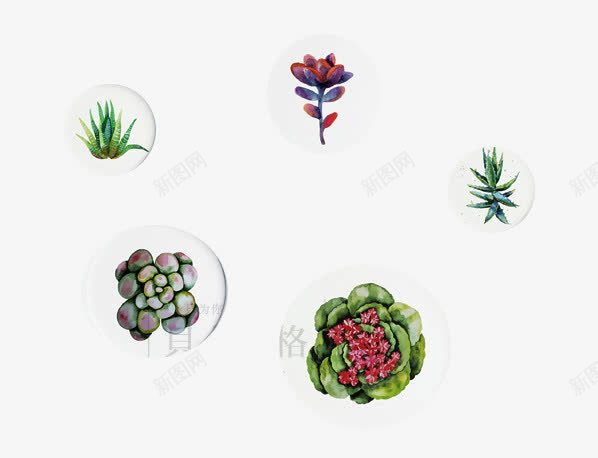 欧式墙面装饰png免抠素材_88icon https://88icon.com 北欧元素 北欧风小图案 圆形图案 欧式花朵图案