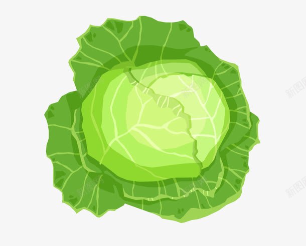 卷心菜叶子png免抠素材_88icon https://88icon.com 叶子 绿色 菜叶 蔬菜 蔬菜叶