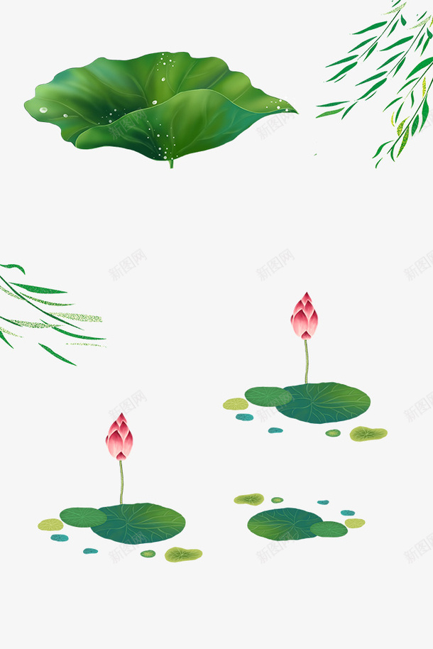 荷叶夏至花花草草荷花莲花花卉png免抠素材_88icon https://88icon.com 夏至 竹子荷花荷叶满池塘 花花草草 荷叶 荷花 莲花花卉