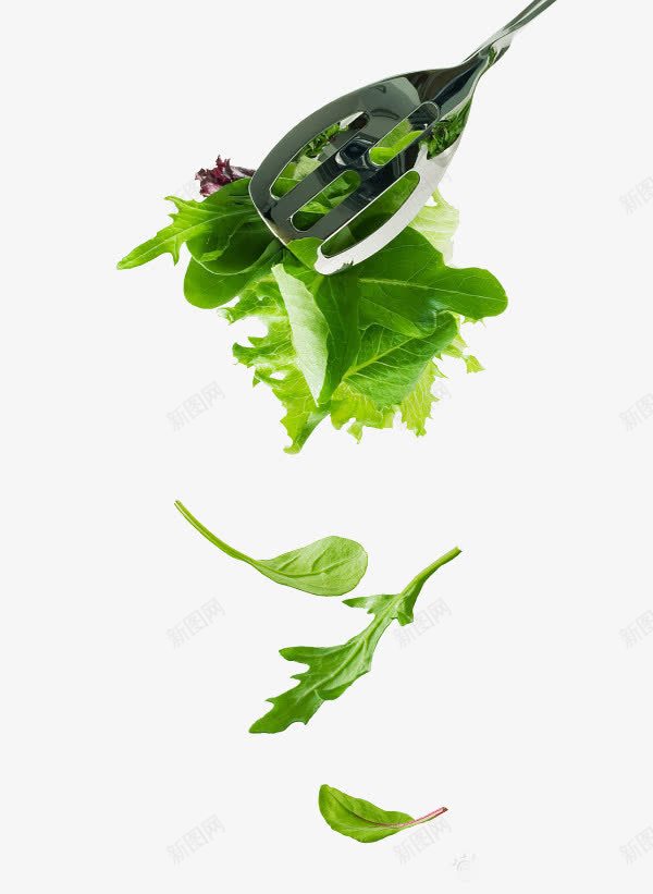 绿色蔬菜png免抠素材_88icon https://88icon.com 绿色 蔬菜 锅铲 食品
