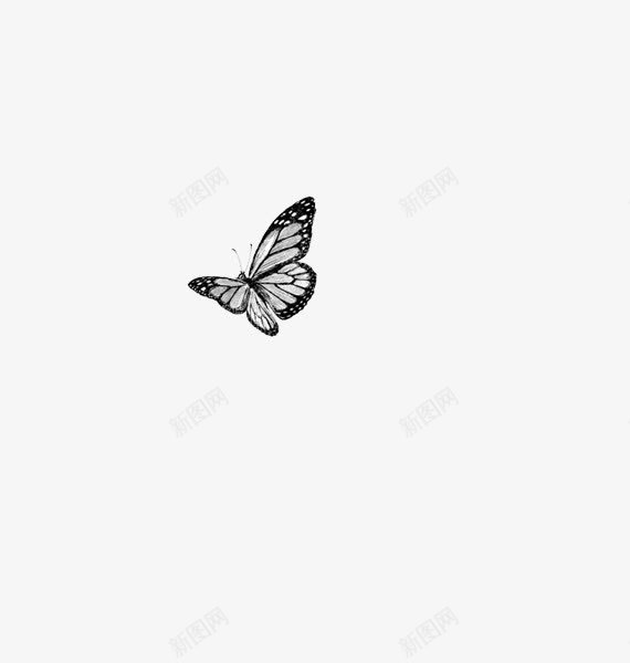 白色黑色蝴蝶png免抠素材_88icon https://88icon.com 白色 素材 蝴蝶 黑色