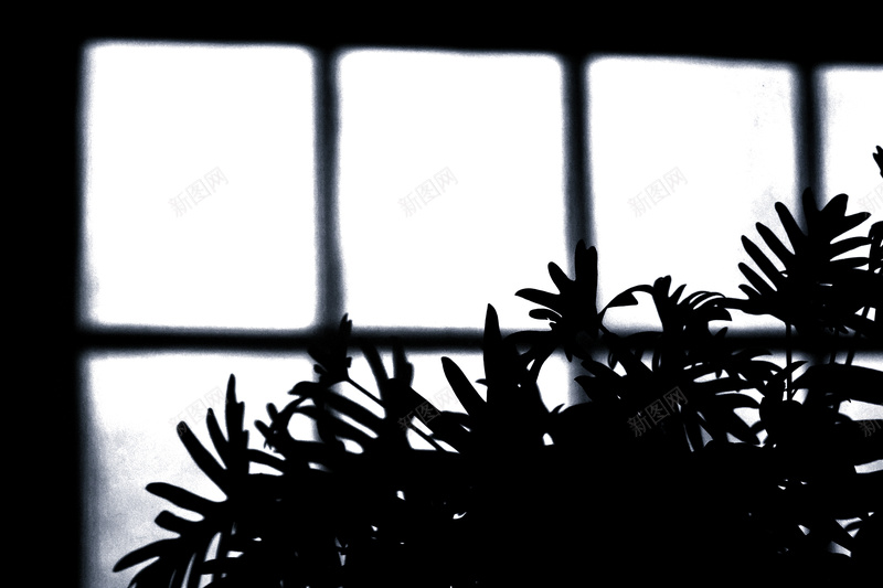 窗户光线灯光合成28jpg设计背景_88icon https://88icon.com 光线 合成 灯光 窗户