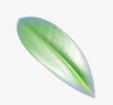 绿色梦幻植物树叶png免抠素材_88icon https://88icon.com 树叶 梦幻 植物 绿色