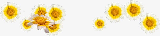 黄色卡通唯美花朵装饰png免抠素材_88icon https://88icon.com 卡通 花朵 装饰 设计 黄色