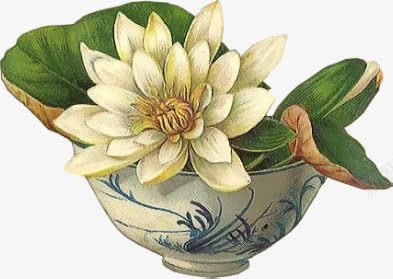手绘立体碗中白色花png免抠素材_88icon https://88icon.com 白色 立体