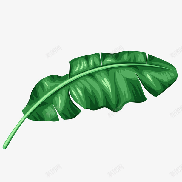绿色卡通芭蕉树树叶矢量图ai免抠素材_88icon https://88icon.com 卡通 卡通树叶 绿色 绿色树叶 芭蕉树 芭蕉树树叶 矢量图