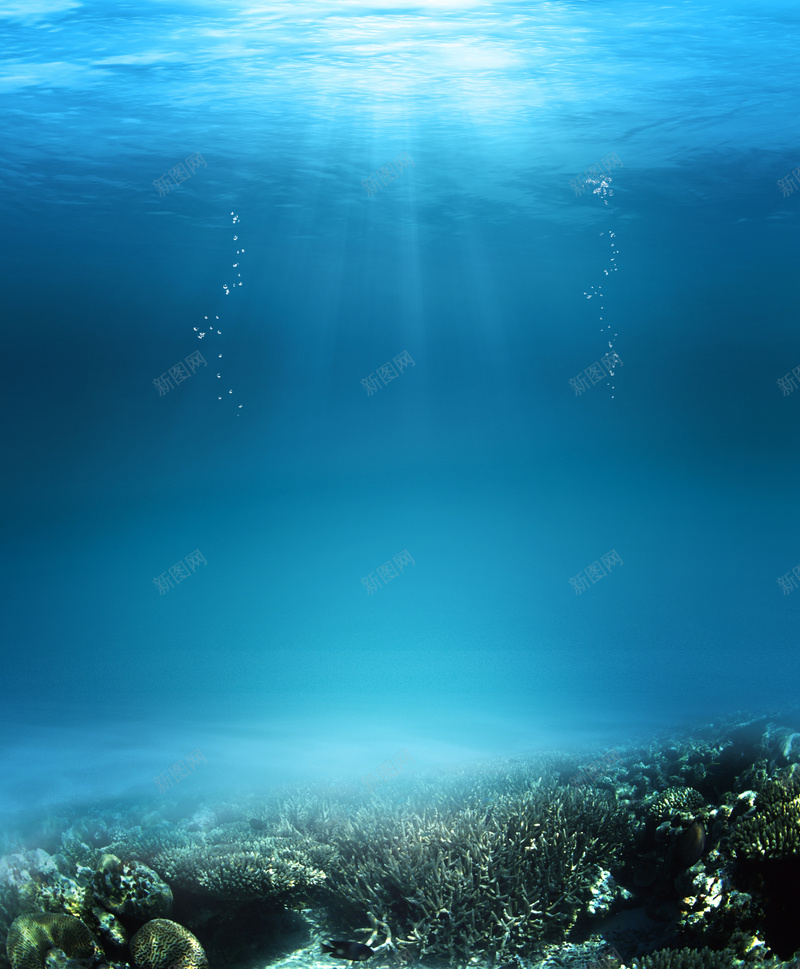 深蓝珊瑚水下psd设计背景_88icon https://88icon.com 水下 深蓝 珊瑚 素材