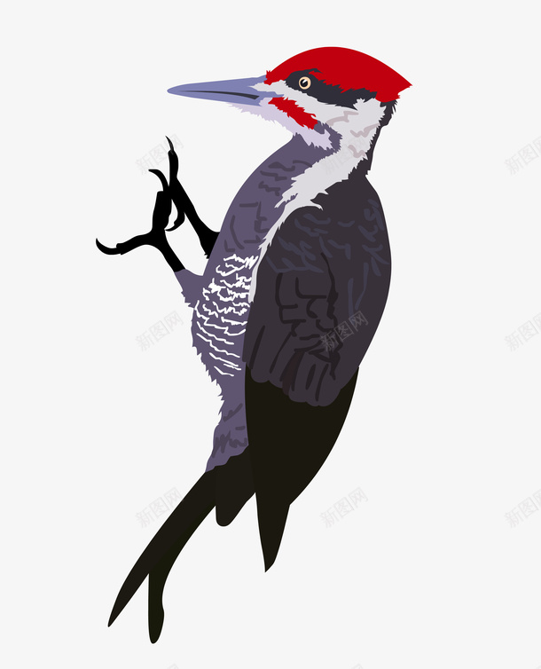 手绘一只啄木鸟png免抠素材_88icon https://88icon.com 卡通 啄木鸟 啄木鸟图案 手绘 鸟儿