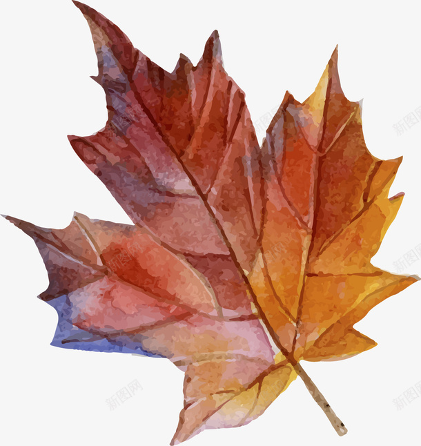 水彩复古树叶装饰矢量图ai免抠素材_88icon https://88icon.com 复古 树叶 水彩 装饰 矢量图