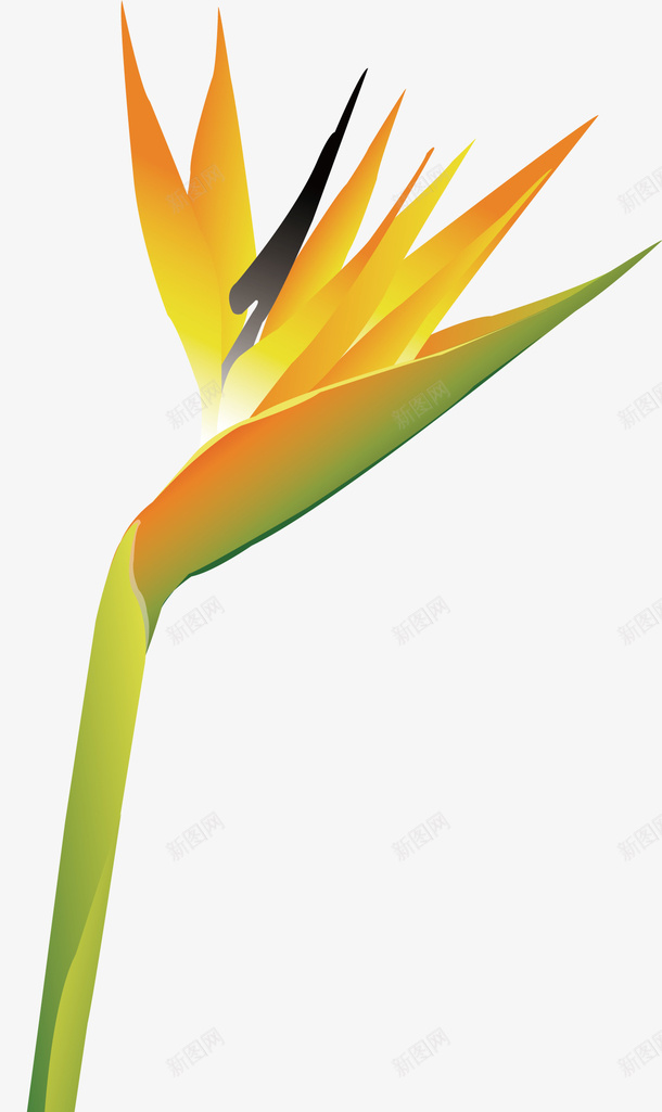 鹤望兰矢量图ai免抠素材_88icon https://88icon.com 卡通 天堂鸟植物 植物 矢量图 鲜花 鹤望兰