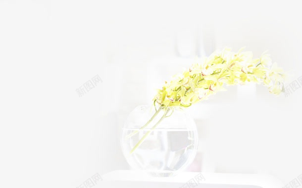 黄色小花室内简约png免抠素材_88icon https://88icon.com 简约 花室 黄色