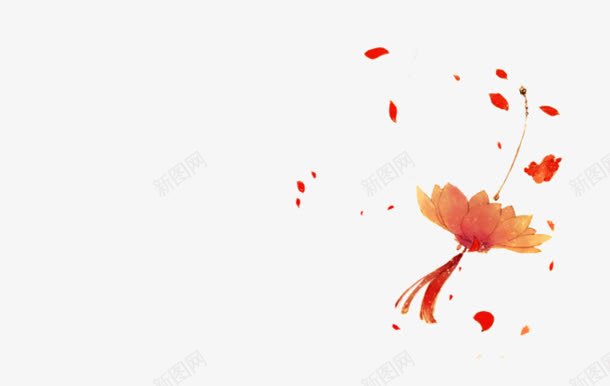 红色睡莲吊饰png免抠素材_88icon https://88icon.com 吊饰 睡莲 红色