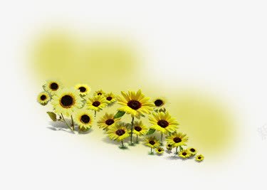 黄色卡通花朵向日葵田园png免抠素材_88icon https://88icon.com 卡通 向日葵 田园 花朵 黄色