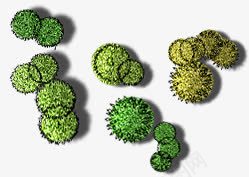 创意效果摄影不规则植物形状png免抠素材_88icon https://88icon.com 不规则 创意 形状 摄影 效果 植物