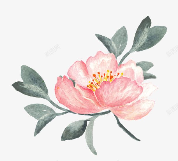 手绘粉色复古花朵植物png免抠素材_88icon https://88icon.com 复古 植物 粉色 花朵