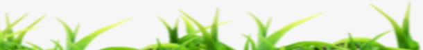 绿色卡通梦幻小草png免抠素材_88icon https://88icon.com 卡通 梦幻 绿色