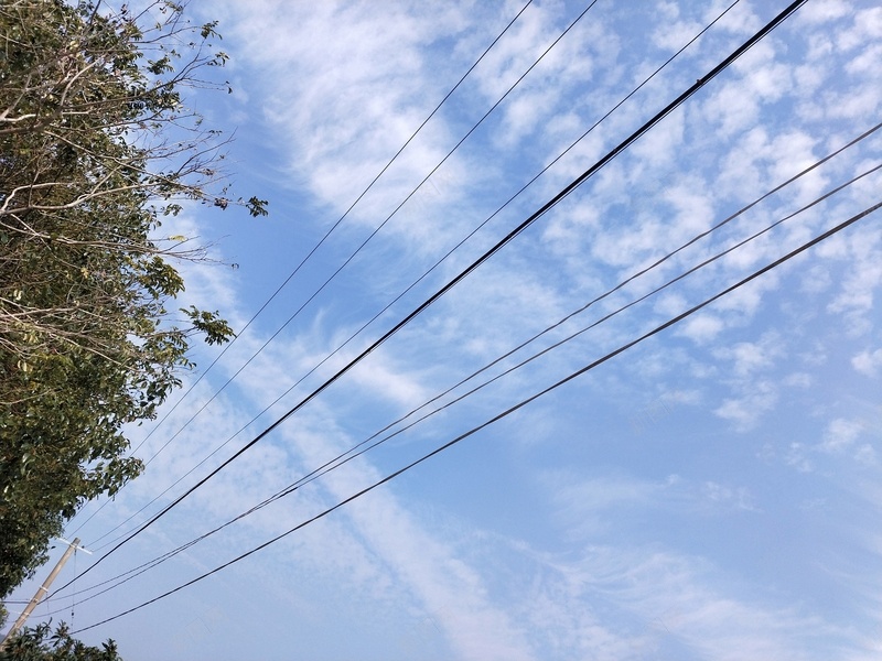 爱拍摄南方冬日jpg设计背景_88icon https://88icon.com 云彩 天空 旅行 风景