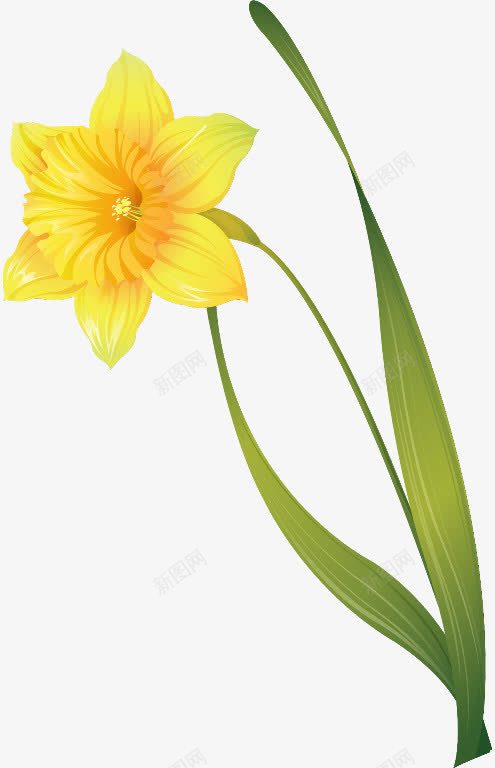 黄色向阳的花植物png免抠素材_88icon https://88icon.com 向阳 植物 素材 黄色