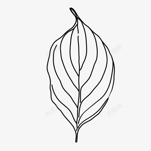山茱萸叶植物叶图标svg_88icon https://88icon.com 手绘 植物 自然 茱萸
