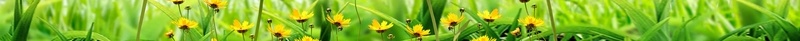 春分节气海报背景模板psd设计背景_88icon https://88icon.com 24节气 传统节气 春分 海报 背景 手绘 插画 风筝 风筝节