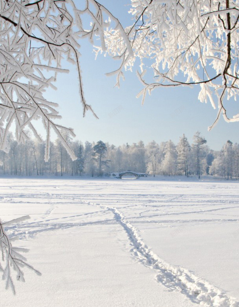 白色雪地简约H5背景素材jpg设计背景_88icon https://88icon.com 白色 简约 雪地 树木 冰冻 H5 摄影 风景