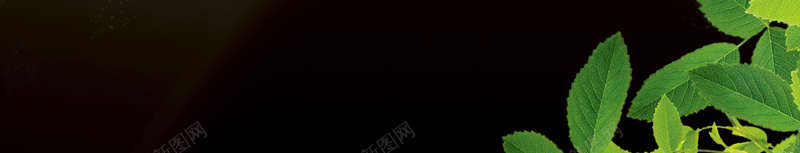 夏日果汁海滨派对海报psd设计背景_88icon https://88icon.com 鸡尾酒 果汁 冰爽盛夏 热情 天堂 海滨 海边 椰树 椰子 清凉一夏 盛夏 派对 聚会 礼物 激情盛 激情 狂欢