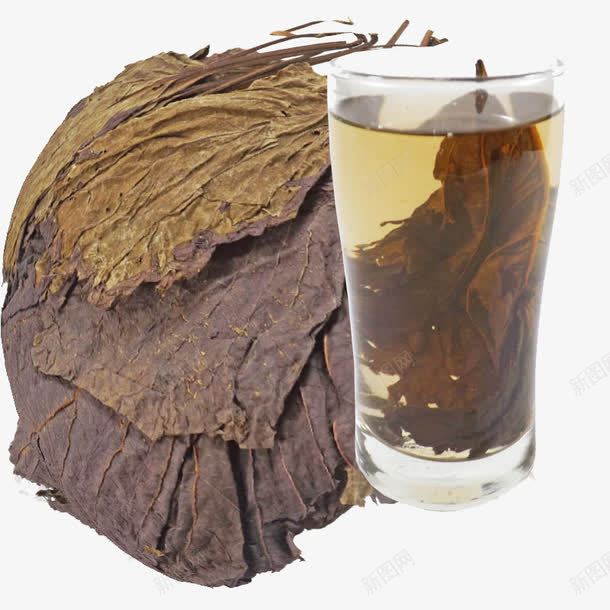 泡茶的紫苏png免抠素材_88icon https://88icon.com 中药 烘干的紫苏叶 紫苏叶