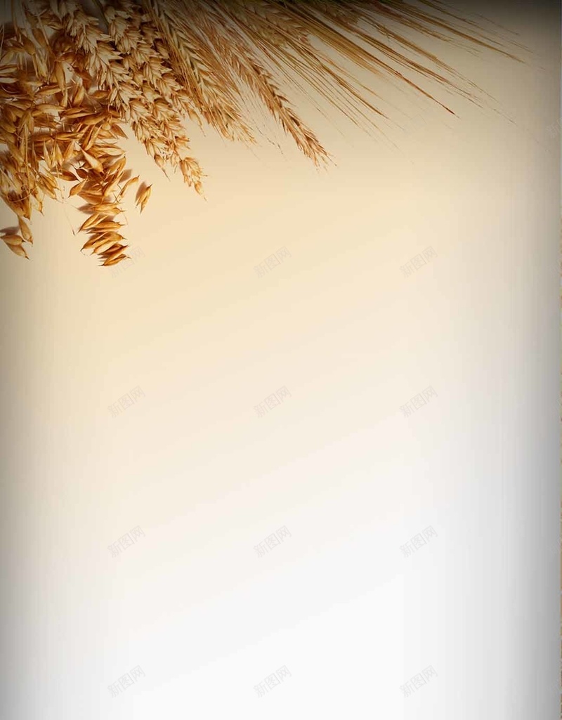 麦子营养餐文艺H5背景psd设计背景_88icon https://88icon.com 小清新 文艺 文艺H5背景素材 渐变 简约 营养餐PSD分层H5背景素材 麦子