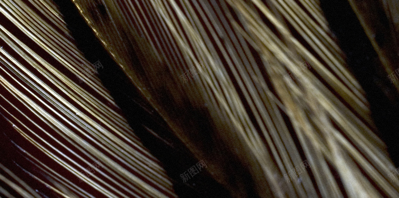 树叶纹理H5背景jpg设计背景_88icon https://88icon.com h5 叶子 纹理 质感 黑白 H5背景 H5